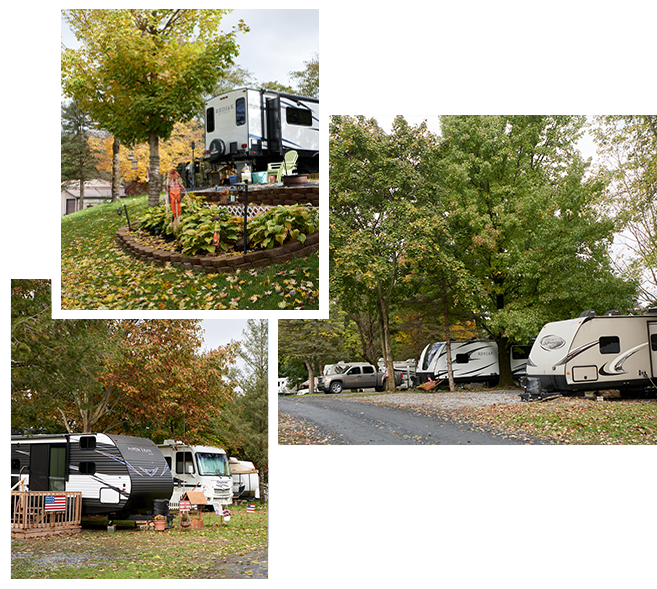 Robin Hill Collage 2